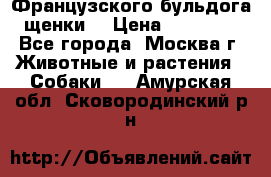 Французского бульдога щенки  › Цена ­ 35 000 - Все города, Москва г. Животные и растения » Собаки   . Амурская обл.,Сковородинский р-н